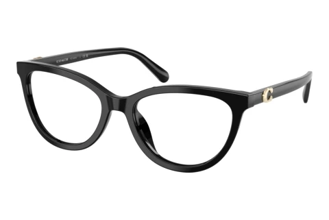 Glasses Coach HC6304U 5002