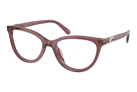 Glasses Coach HC6304U 5969