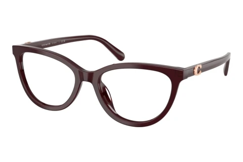 Glasses Coach HC6304U 5970