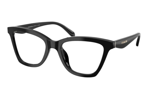 Glasses Coach HC6306U 5002