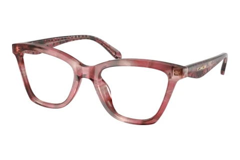 Glasses Coach HC6306U 5964