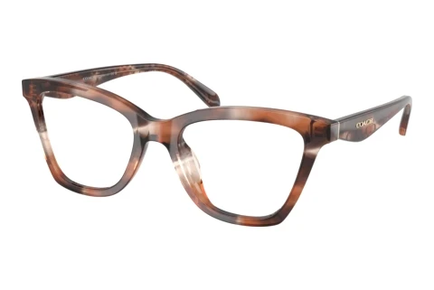 Glasses Coach HC6306U 5965