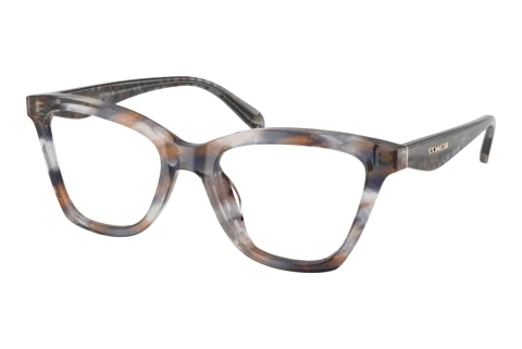Glasses Coach HC6306U 5966