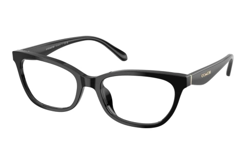 Glasses Coach HC6307U 5002