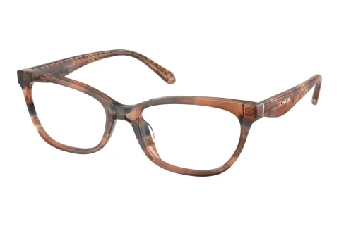 Glasses Coach HC6307U 5965