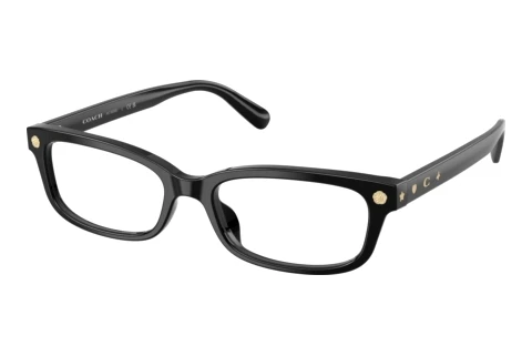 Glasses Coach HC6308U 5002