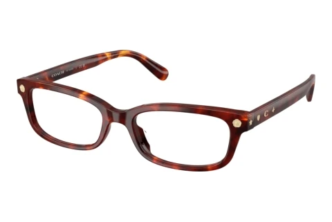 Glasses Coach HC6308U 5938