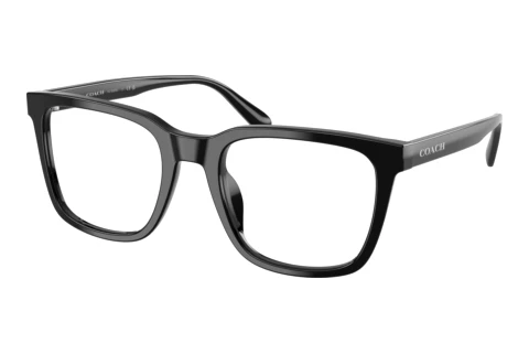 Glasses Coach HC6309U 5002
