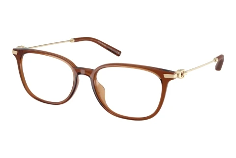 Glasses Coach HC6312D 5888