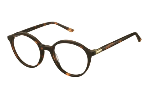 Glasses Elle EL13608 TT