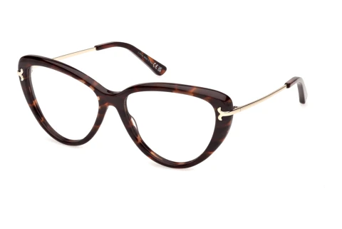 Glasses Emilio Pucci EP5279 056