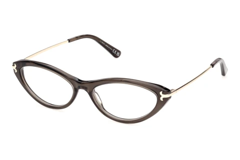 Glasses Emilio Pucci EP5290 005