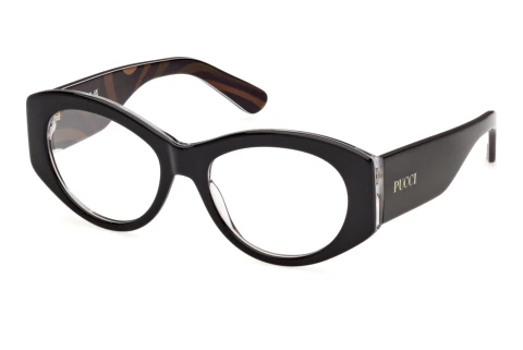 Glasses Emilio Pucci EP5293 005