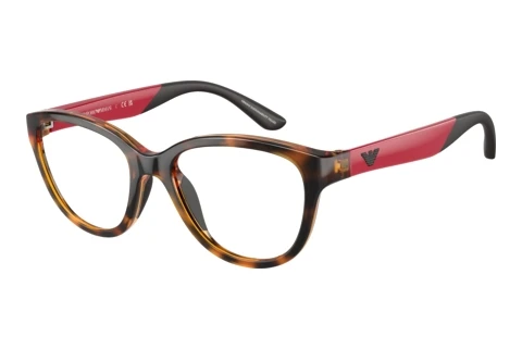 Glasses Emporio Armani EK3002 5026
