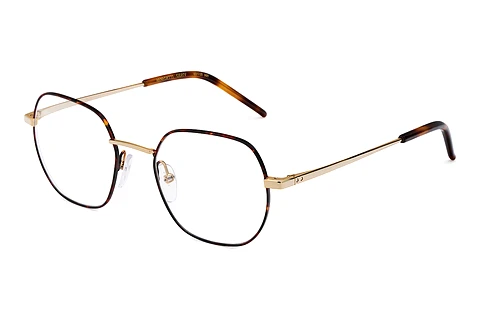Glasses Etnia Barcelona BENEDETTI GDHV
