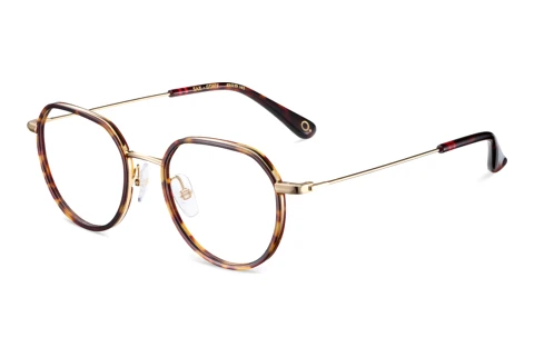 Glasses Etnia Barcelona SAX GDHV