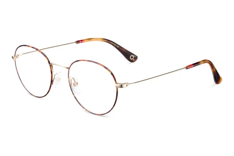 Glasses Etnia Barcelona SUNSET BLVD HVGD