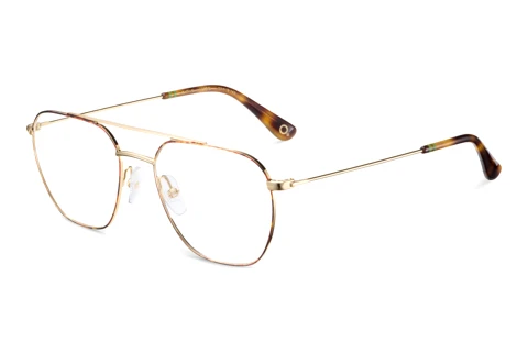 Glasses Etnia Barcelona XATIVA HVGD