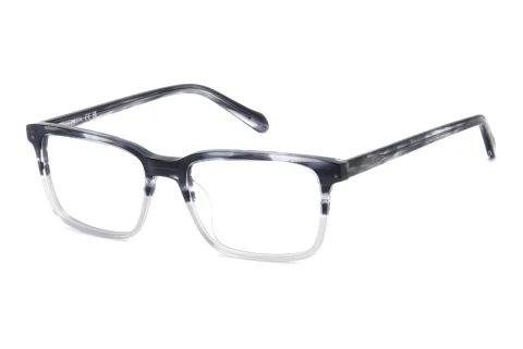 Glasses Fossil FOS 7204/G 1EI