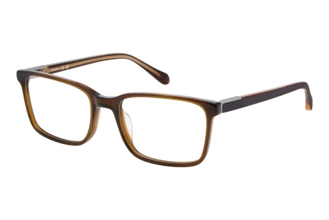 Glasses Fossil FOS 7229 FL4