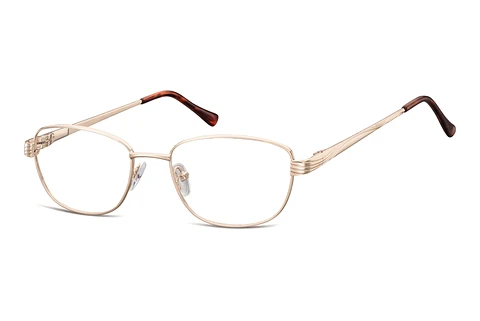 Glasses Fraymz 796 C