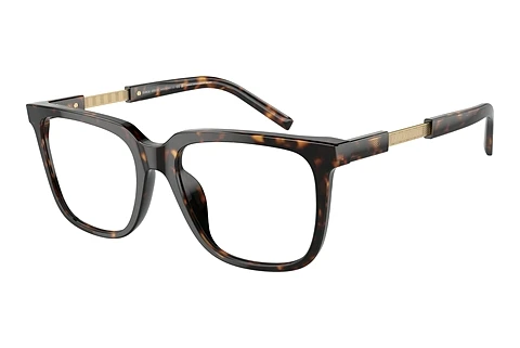Glasses Giorgio Armani AR7252U 5879