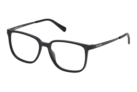 Glasses Harley-Davidson HD50068 002