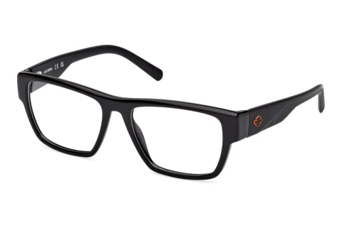Glasses Harley-Davidson HD50110 001