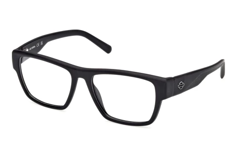 Glasses Harley-Davidson HD50110 002