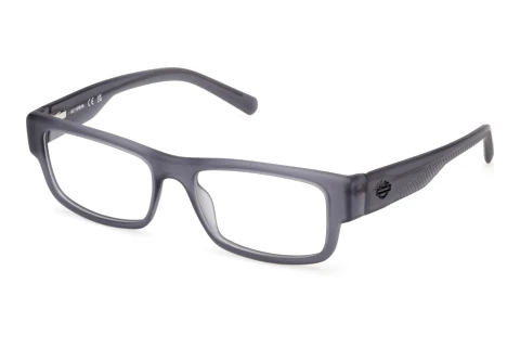 Glasses Harley-Davidson HD50111 020