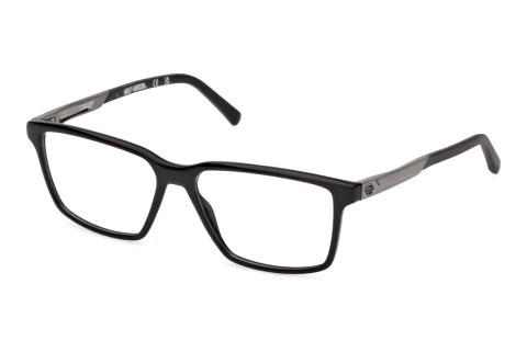 Glasses Harley-Davidson HD50120 001