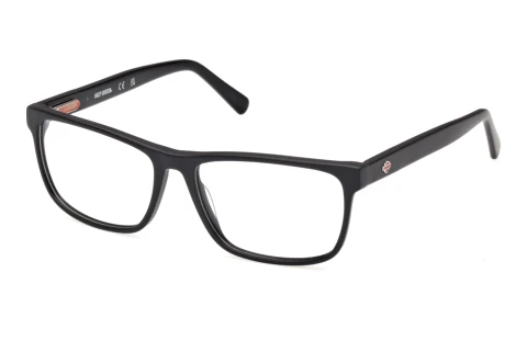 Glasses Harley-Davidson HD50122 002