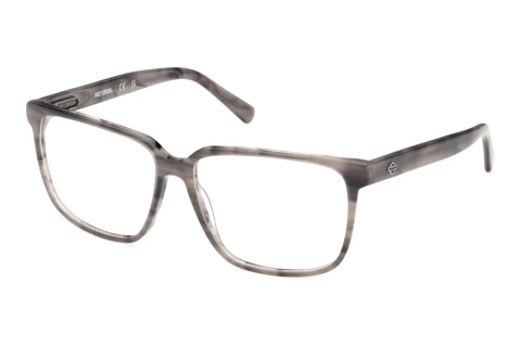 Glasses Harley-Davidson HD50123 020