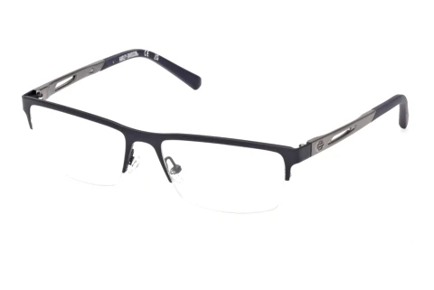 Glasses Harley-Davidson HD50132 091