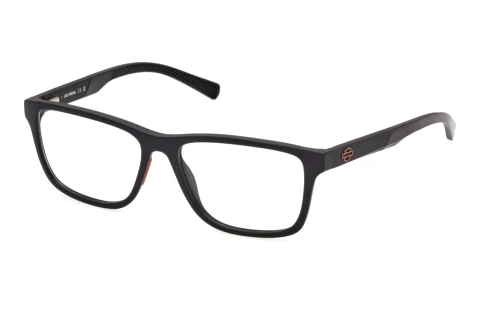 Glasses Harley-Davidson HD50154 002