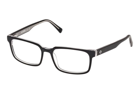 Glasses Harley-Davidson HD50156 003