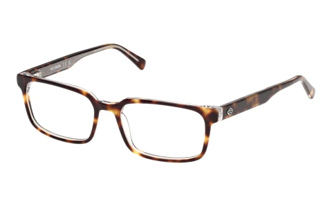 Glasses Harley-Davidson HD50156 052