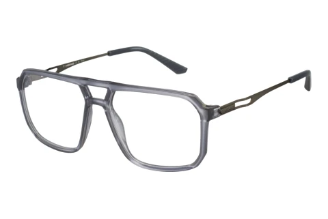 Glasses Head HD44021 GR