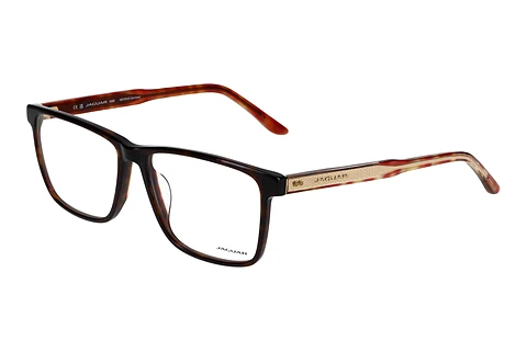 Glasses Jaguar 31033 8940