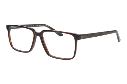 Glasses Jaguar 31035 8940
