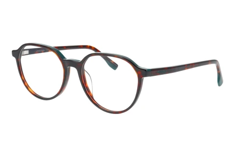 Glasses Jaguar 31531 5522