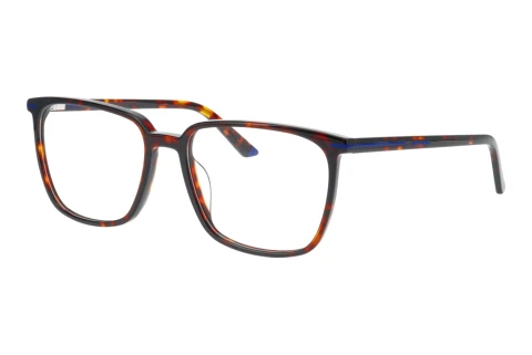 Glasses Jaguar 31532 5522