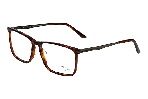 Glasses Jaguar 32503 4838