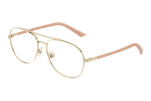 Glasses Jimmy Choo JC2021 3027