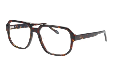 Glasses Joop 81251 5424