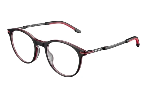 Glasses Julbo FLAIR 14_JOP1451
