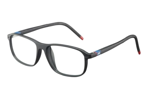 Glasses Julbo FLEXIO-R54 14_JOP1413