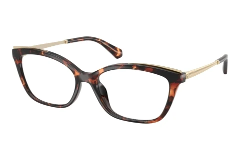 Glasses Michael Kors MATTERHORN (MK4204U 4031)