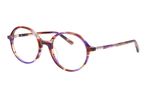 Glasses Morgan 202042 5262