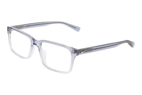 Glasses Nike NIKE 1001Y 462